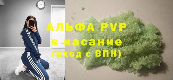 PSILOCYBIN Белокуриха