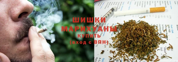 PSILOCYBIN Богородицк